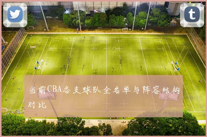 当前CBA各支球队全名单与阵容结构对比