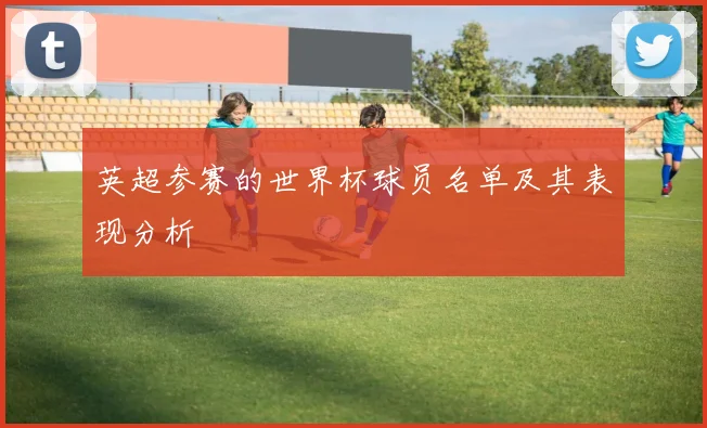 英超参赛的世界杯球员名单及其表现分析