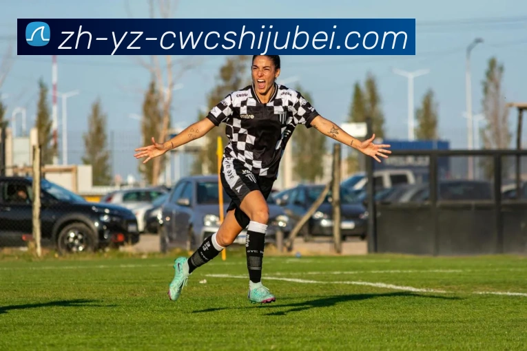 世界杯买球平台生态图